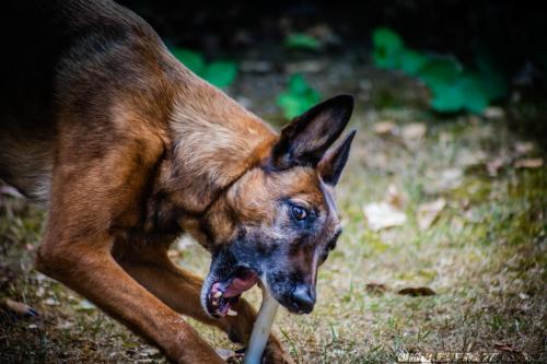 Djimathie2-01082019-