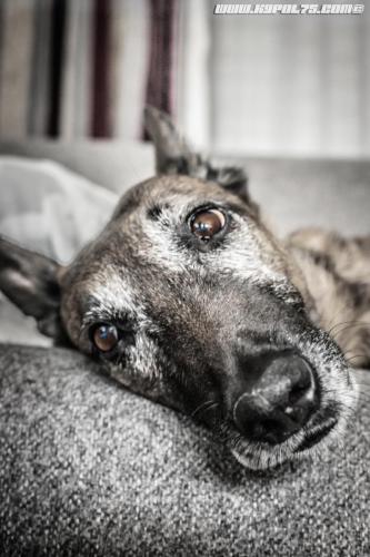 Djimathie2-21072019-