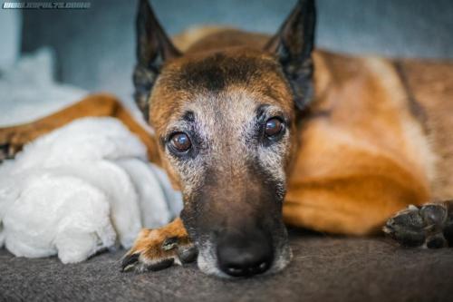 Djimathie2-22072019-