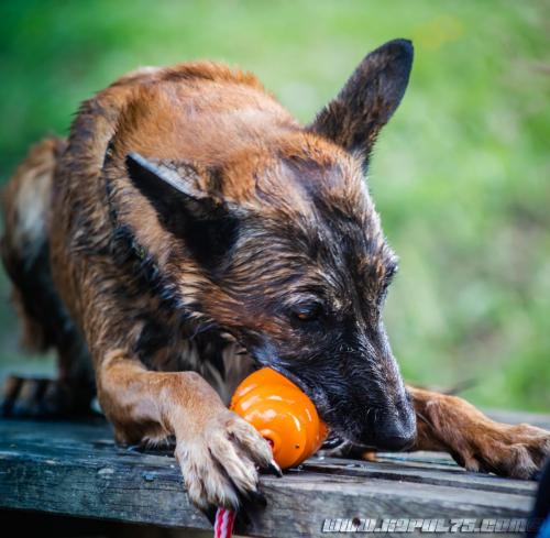 Djimathie2-27082019-