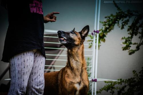 Djimathie3-01082019-