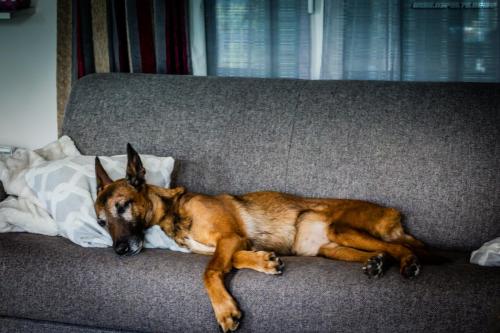 Djimathie3-21072019-