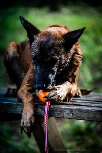 Djimathie3-27082019-