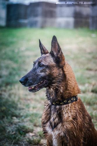 Djimathie4-27082019-