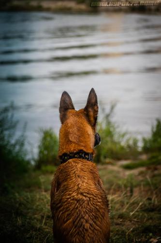 Djimathie5-27082019-