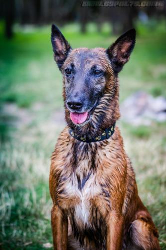 Djimathie7-27082019-