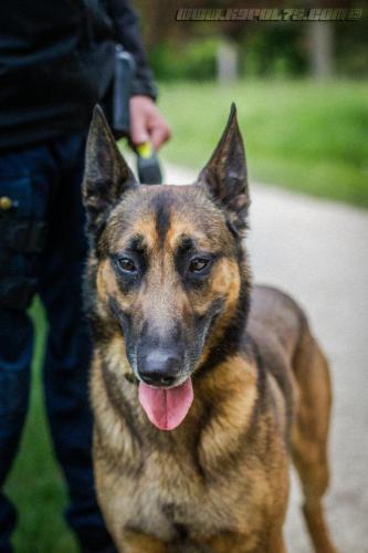 Iago1-10052019-