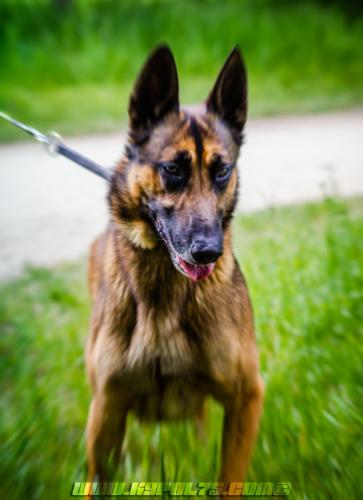 Iago2-10052019-