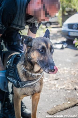 Iago2-23072019-