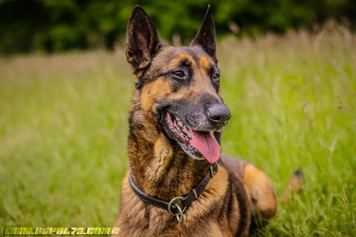 Iago4-17052019-