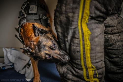 Kalash2-29082019-