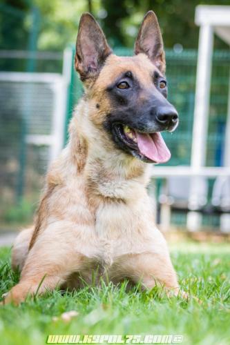 Lana1-01082019-