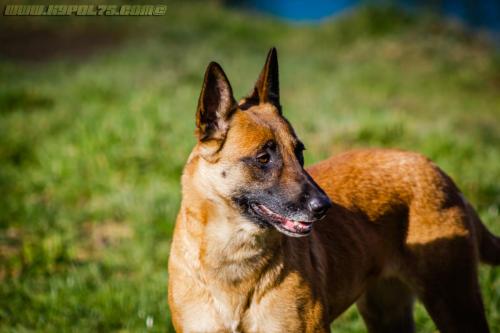 Lana1-14022019-