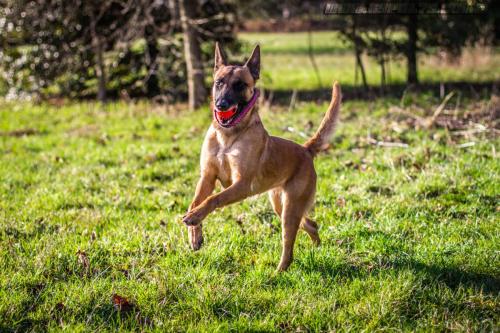 Lana1-18012019-
