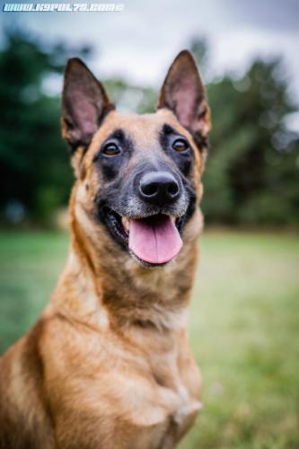 Lana11-29082019-