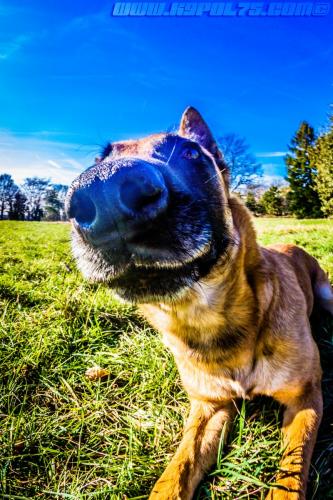 Lana2-05022019-