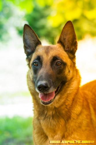 Lana2-11062019-