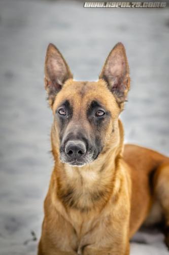 Lana5-30012019-