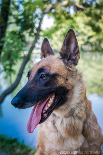 Lana8-25072019-