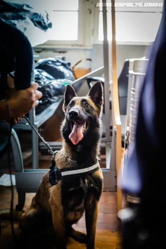 Narco3-16072019-