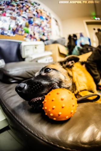 NavySeal10-20122019-