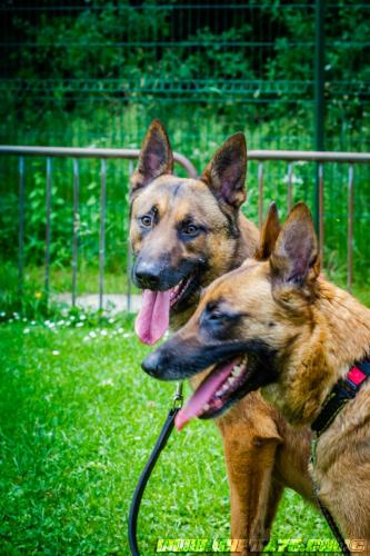 NigloLana1-04062019-