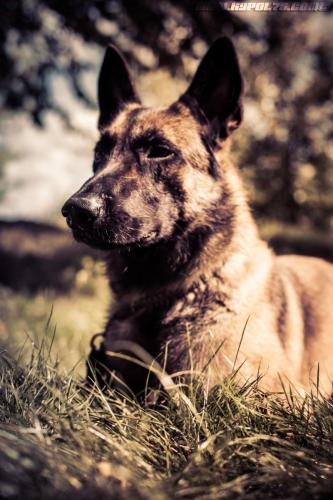 Noemic5-02092019-