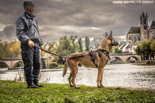 Noemic7-08112019-