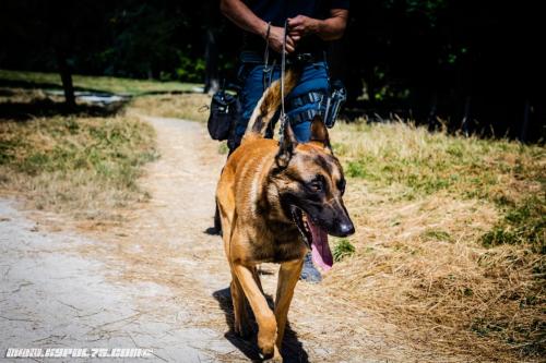 Norbert1-05072019-