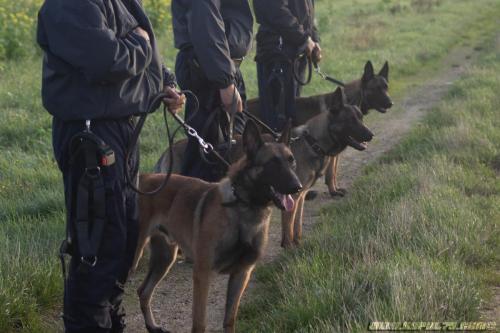 Novy-Alpha-Noemic1-26102019-