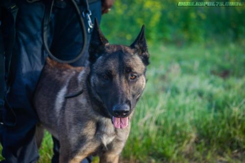 Novy3-26102019-