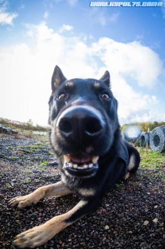 XploRoiss3-15112019-