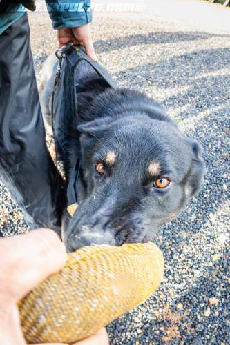 XploRoiss4-15112019-