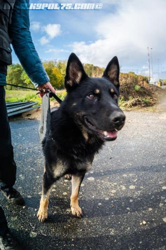 XploRoiss5-15112019-