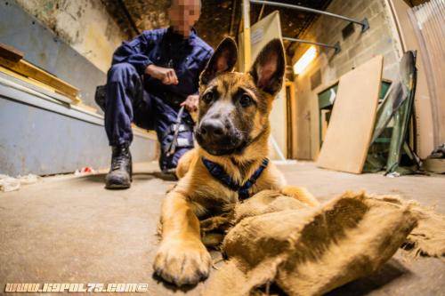 lesBebouzes1-16122019-