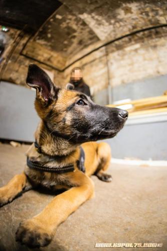 lesBebouzes2-16122019-