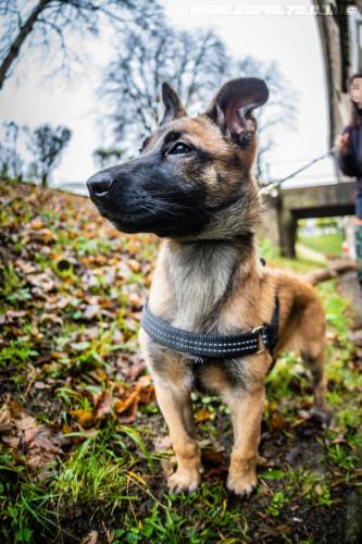 lesBebouzes4-16122019-