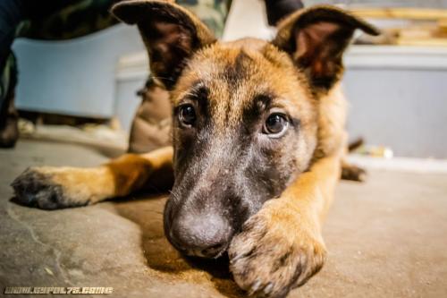 lesBebouzes5-16122019-