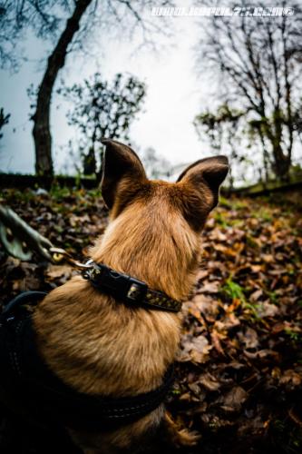 lesBebouzes6-16122019-