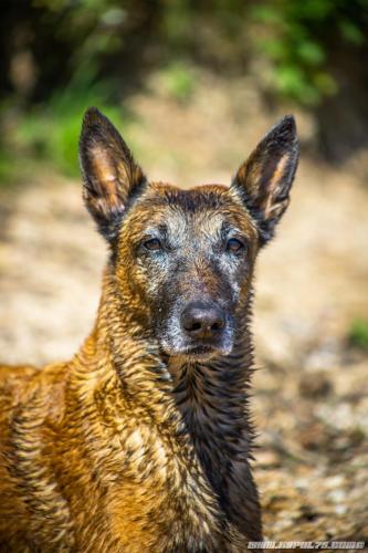 01062020-Djimathie11