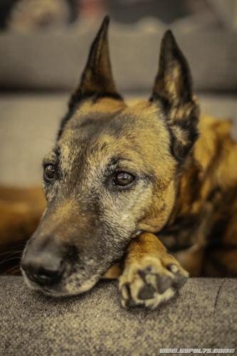 02052020-Djimathie10