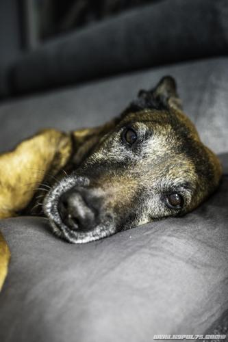 02052020-Djimathie11