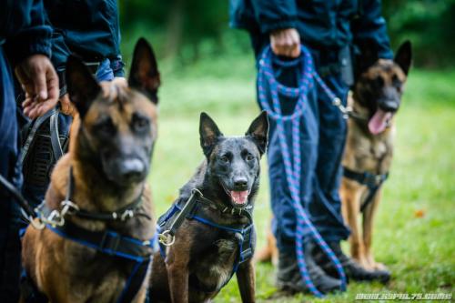 14102020-Oko-Phantom-Orka1