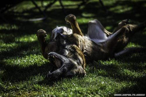 15042020-Djimathie10