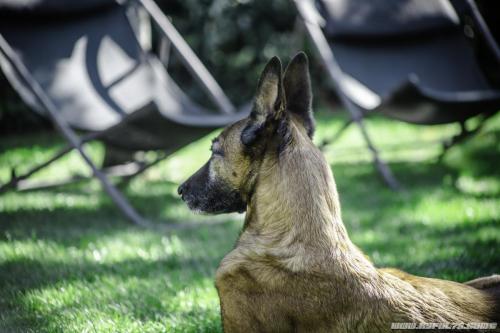 15042020-Djimathie11