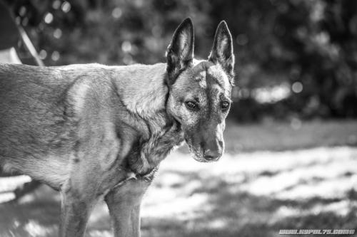 15042020-Djimathie12