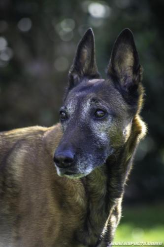 15042020-Djimathie13