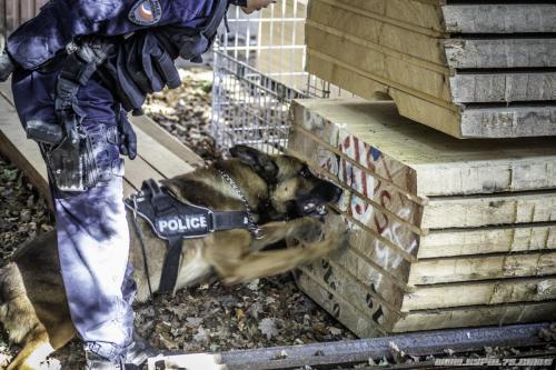 20052020-20052020-Niglo4