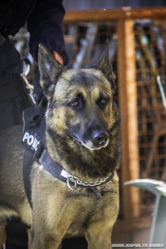 20052020-20052020-Niglo5