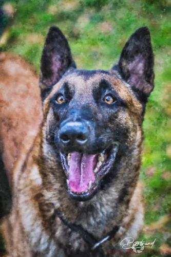 23102020-Phantom-Artk9